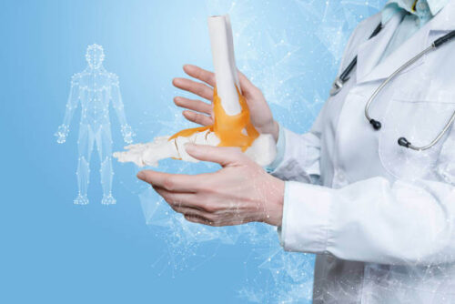 istockphoto-1353651243-612x612-1